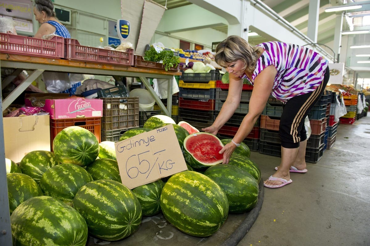 Speciális helyeket jelölnek ki a dinnyeárusításhoz a városokban