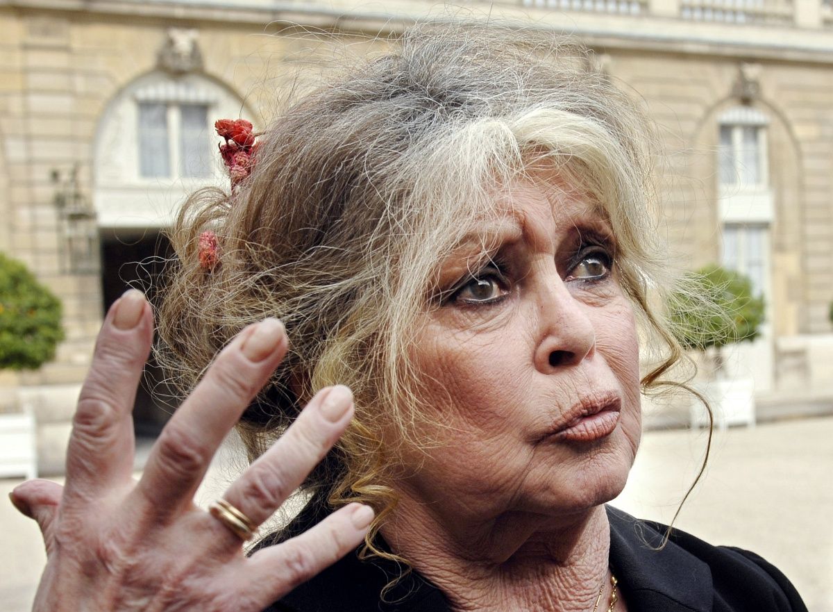 Brigitte Bardot: én az elefántokkal vagyok