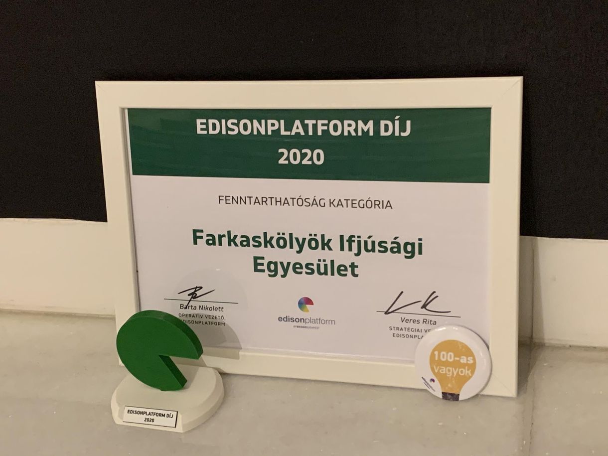 Edisonplatform-díjat nyert a Farkaskölykök Ifjúsági Egyesület