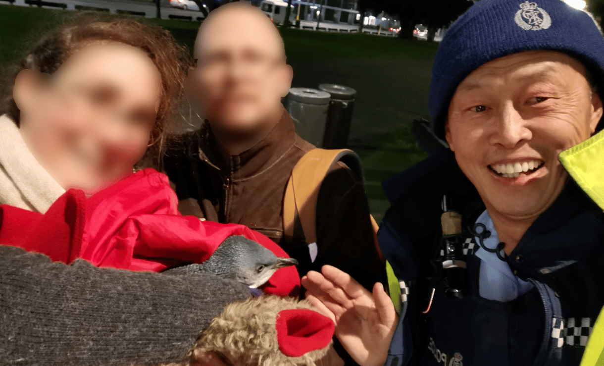 Pingvineket fogtak a wellingtoni rendőrök