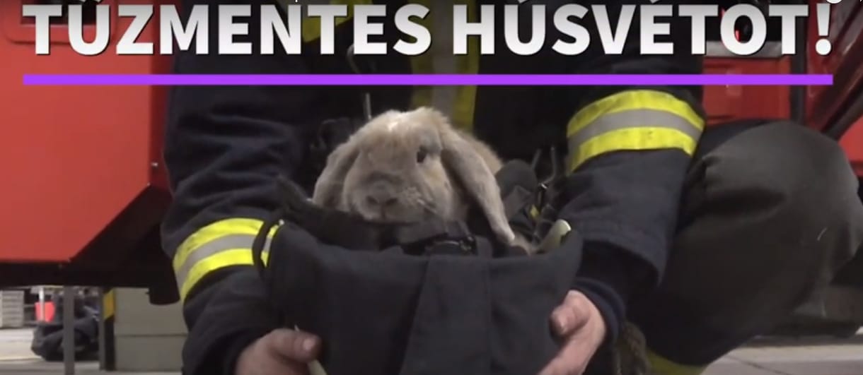 A szokásosnál is cukibb „kollégával” kívánnak biztonságos húsvétot a tűzoltók