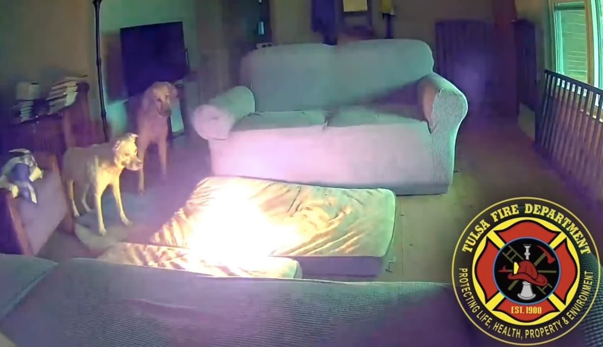 Megrágta a kutya az akkumulátort, kiégett a ház – videó