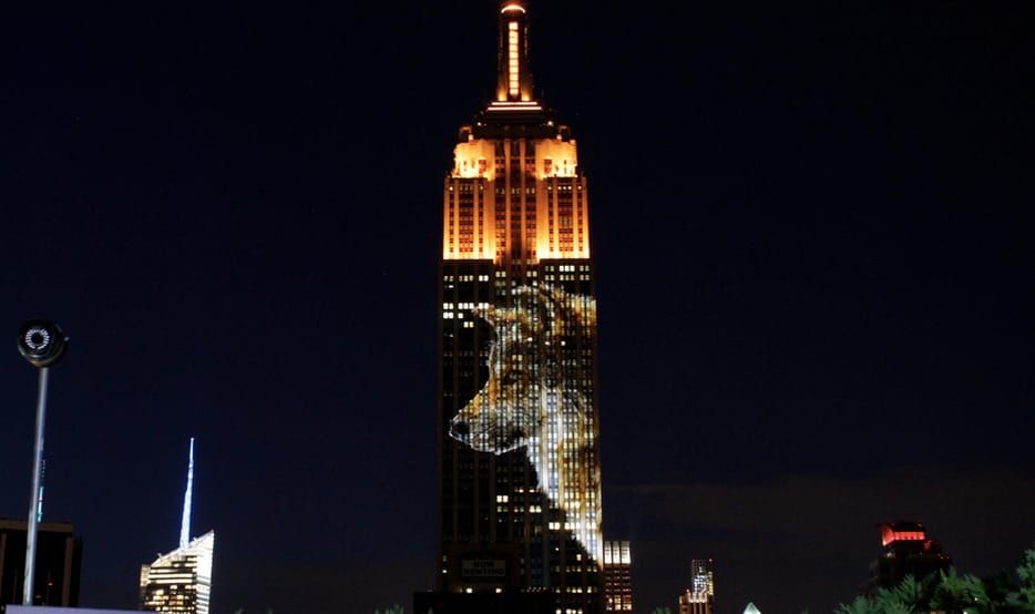 Videó: Látványos, de szomorú fényjátékban úszott az Empire State Building szombaton