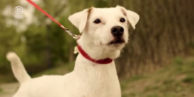 Budapesti szukára kattant rá Brian a Family Guyból – videó