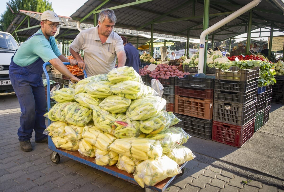 Sok milliárdból épít nagybani piacot a CBA
