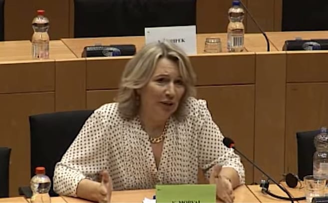 Morvai Krisztina Majdan-szagot és Ukrajna-szagot szimatol a levegőben