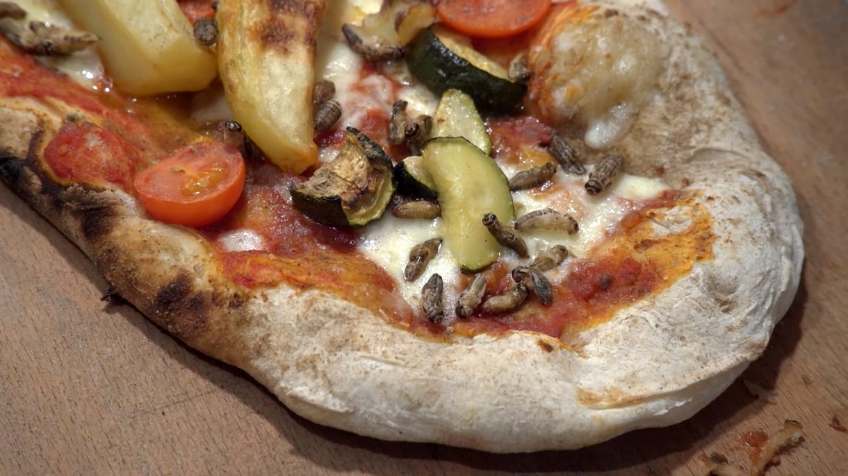 Mit szólna ahhoz, ha tücsök kerülne a pizzájába? Egy olasz cég kipróbálta - videó