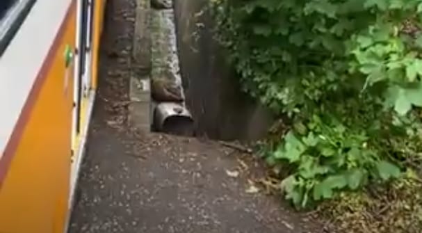 Fényes nappal lőttek agyon vaddisznókat és malacokat a fővárosban vadászok