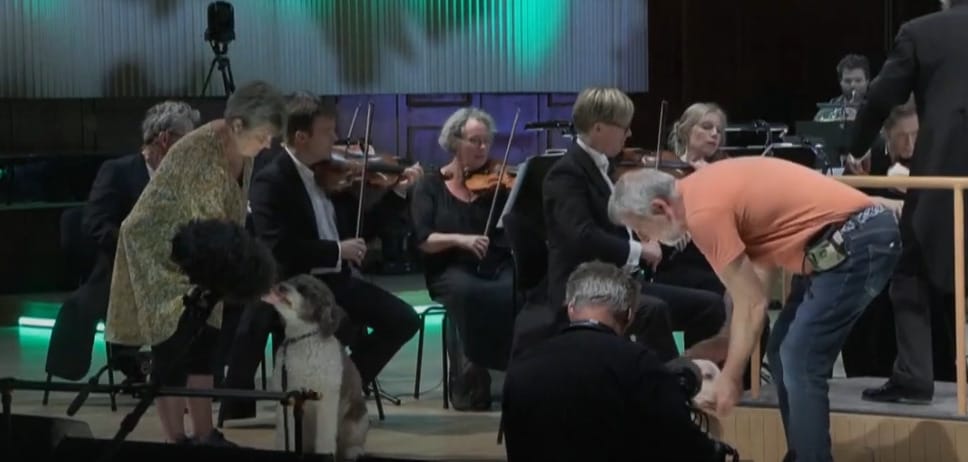 Megvalósult az öreg Mozart álma: tényleg kutyákkal adták elő a szimfóniáját