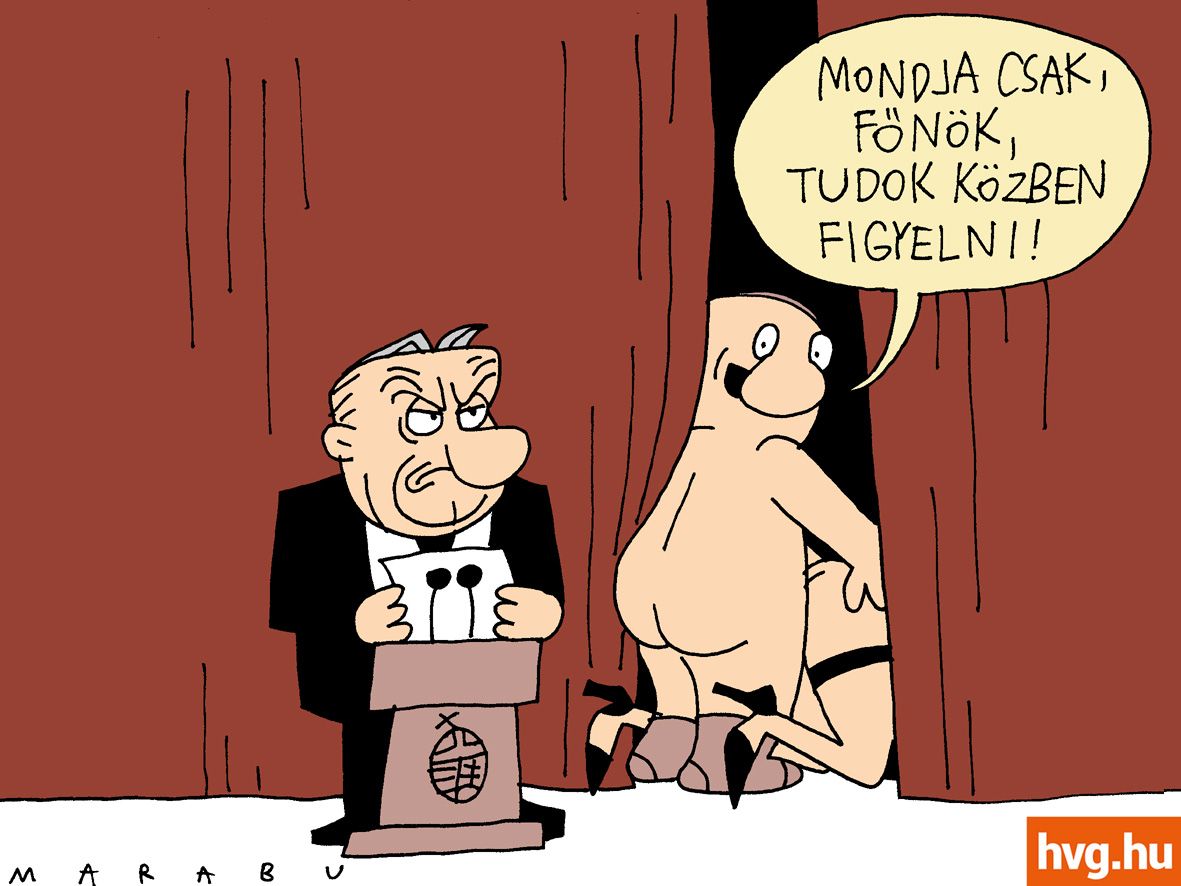 Marabu FékNyúz: Libben a függöny