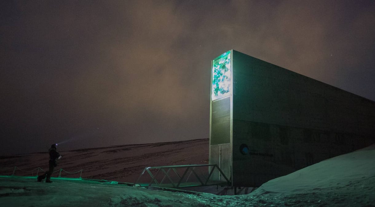 Kinyitották az ítéletnapi tárolót, ahol -18 Celsius-fokon 1000 éven át őrzik a magmintákat