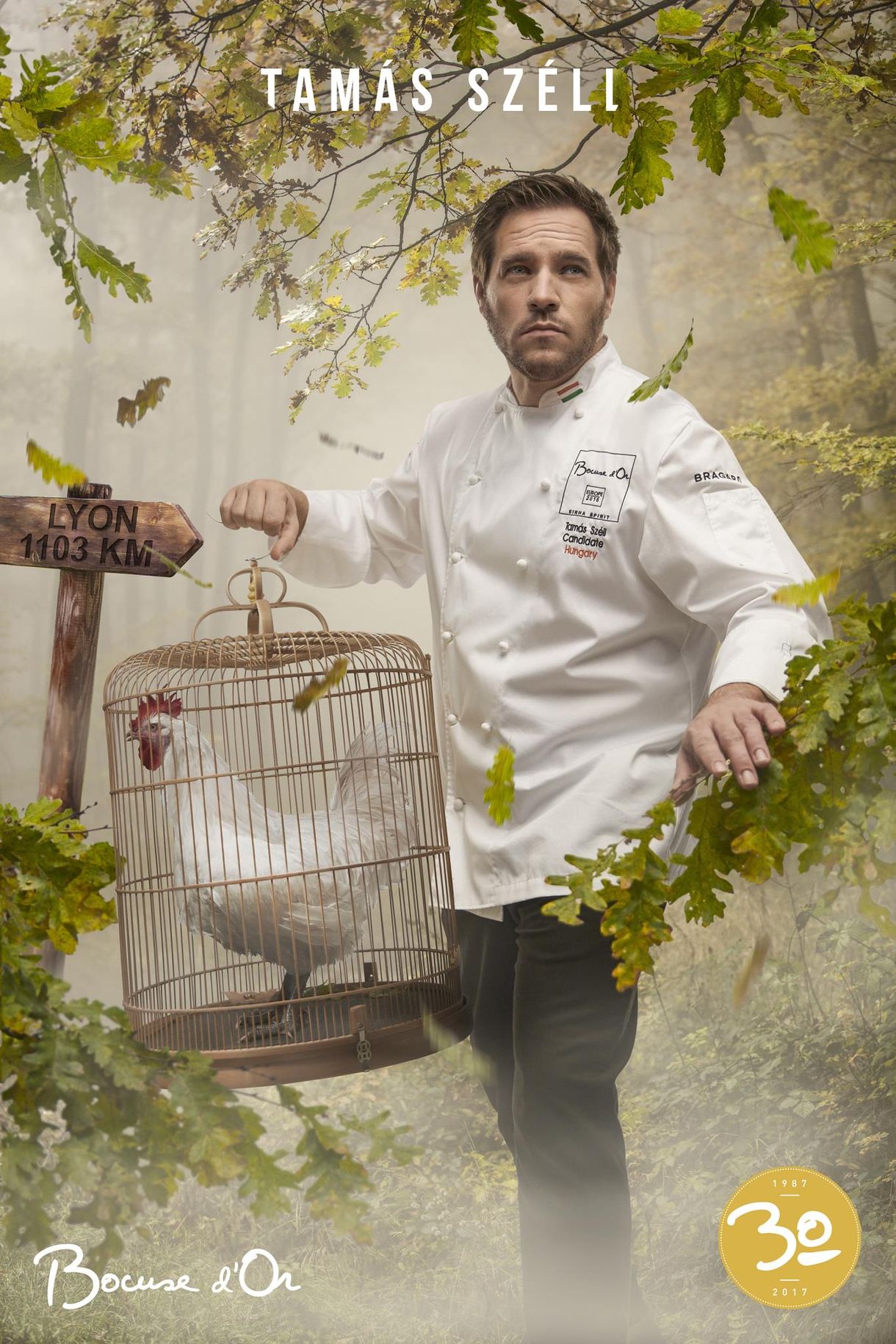 Bocuse d'Or kisokos