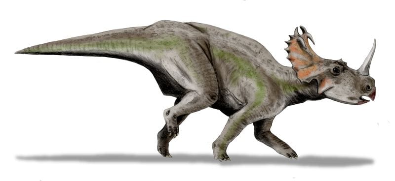 Már a dinoszauruszok is lehettek rákosak