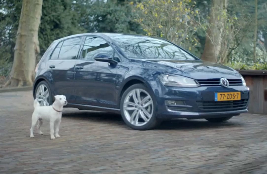 Amikor a kiskutya VW Golf akar lenni - videó