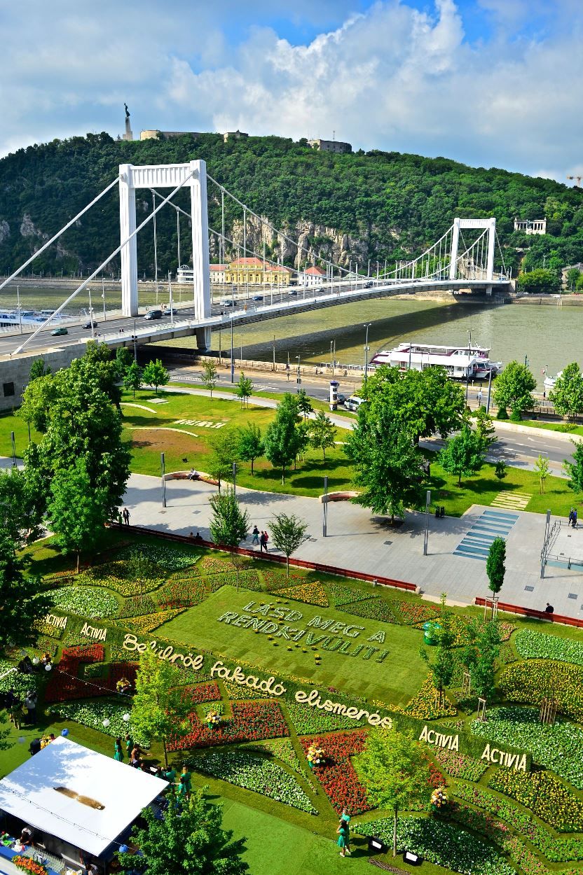 1000 négyzetméteres virágszőnyeg Budapest belvárosában - fotó