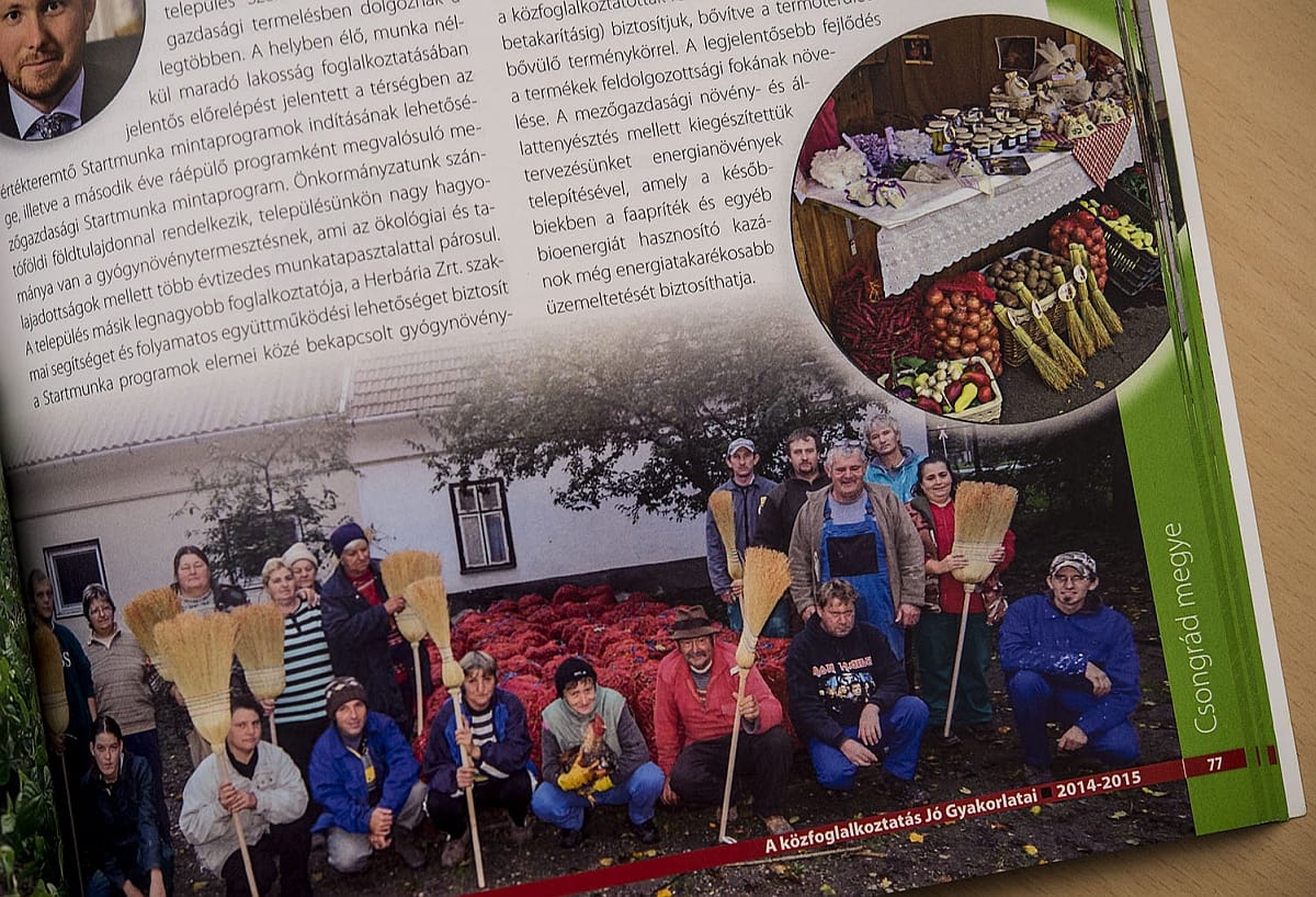 Boldog Magyarország: ontják a közmunkások a buszmegállókat