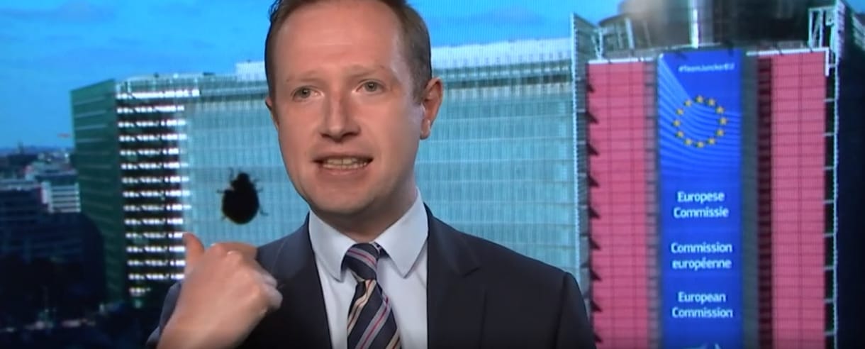 Amikor egy bogár jobban megijeszti a BBC-t, mint a Brexit
