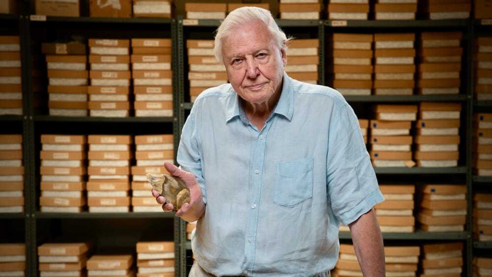 David Attenborough-tól kapott levelet Cseke Eszter és S. Takács András kisfia