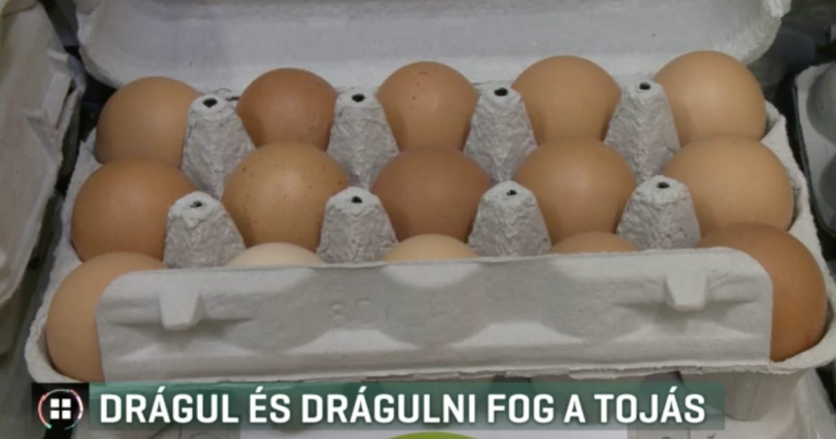 Tovább drágul a tojás