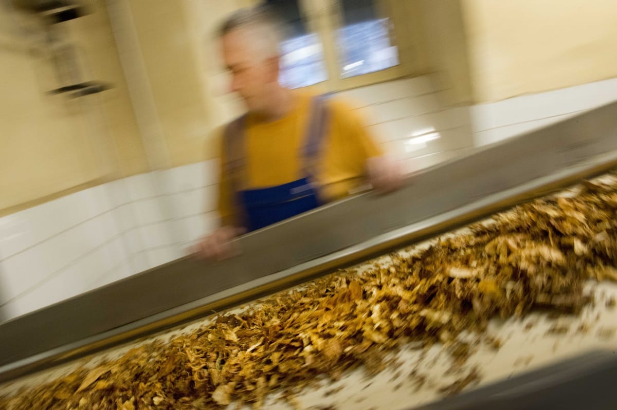 A Dohányboltellátó nevében írtak kamu levelet a csalók