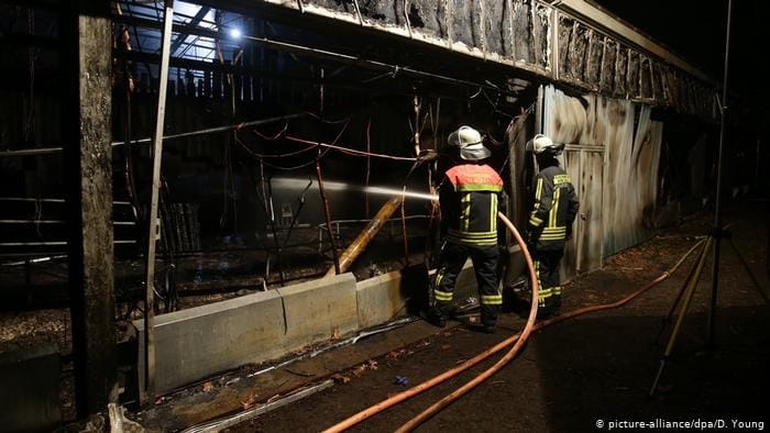 Több mint harminc majom pusztult el egy állatkerti tűzben