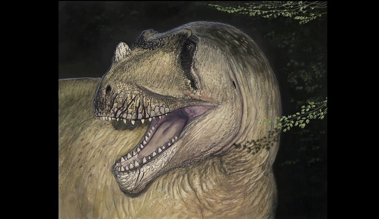 Lebombázták a II. világháborúban, így aztán csak most, 111 éves fotókon találtak egy új dinoszauruszt