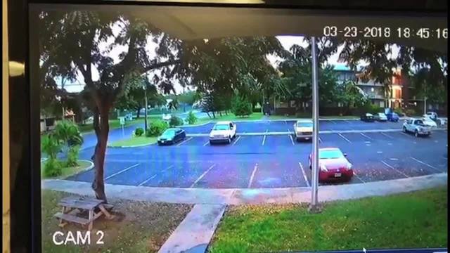 Videó: ilyen a kocsilopás Hawaii-módra, egészen egyedi