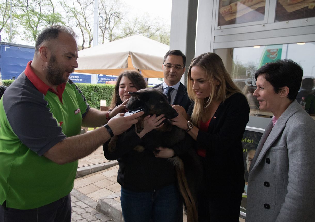 Még több MOL-kúton lehet az elveszett kutyákat beazonosítani
