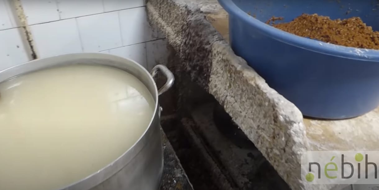 Gyomorforgató édesipari üzemet záratott be a Nébih – videó