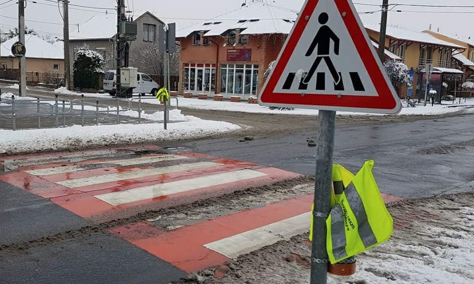 Akire büszkék lehetünk: rangos elismerést kapott a zászlós zebrák hazai atyja