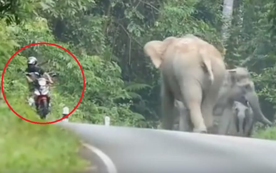 Ha 10 tonna közelít a motoros felé, csak egy dolgot érdemes tenni – videó