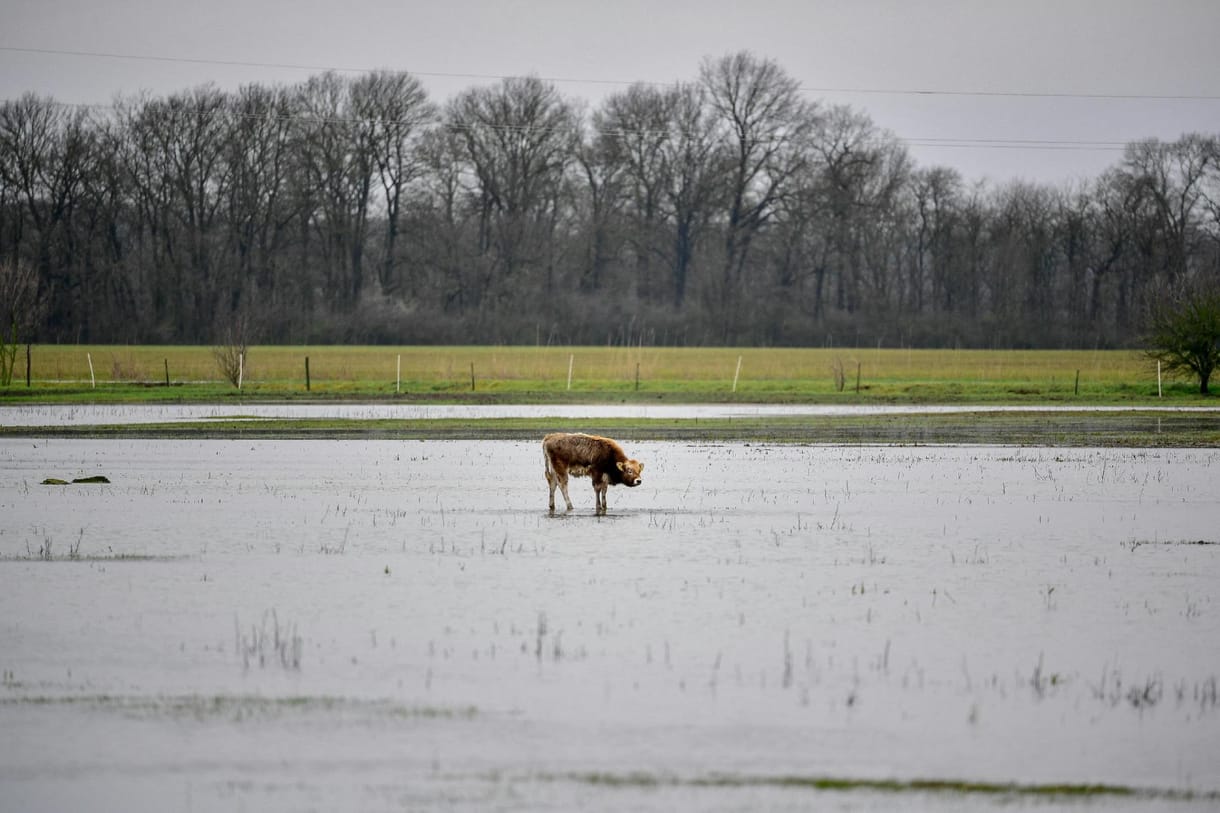 EU-s pénzek nélkül áll az agráregyetemi fejlesztés, és ez még jó is lehet