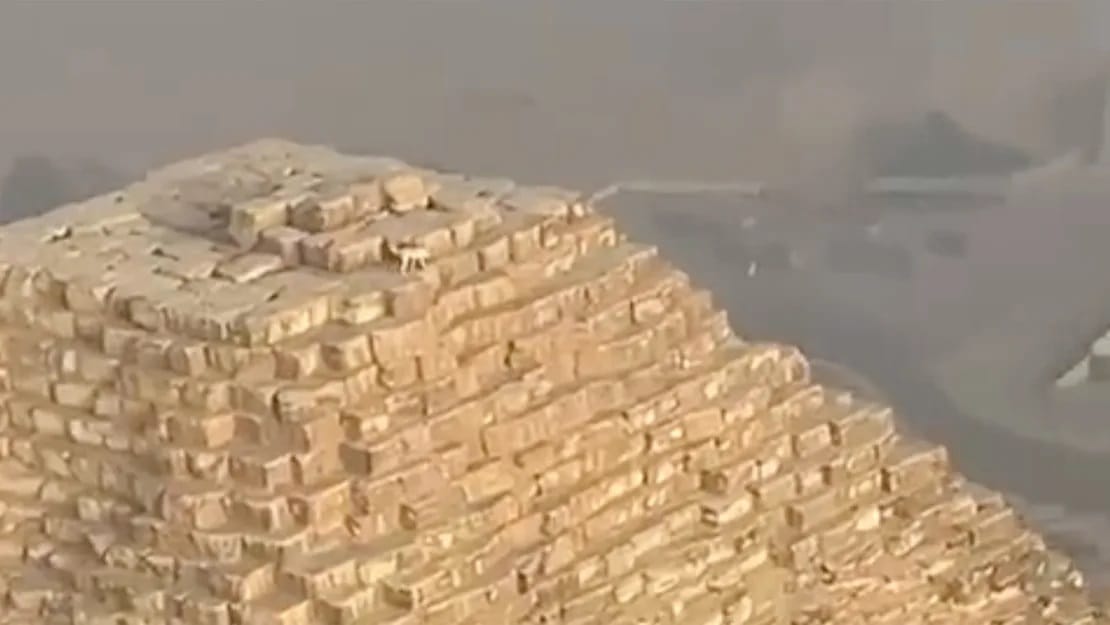 Siklórepülős vette videóra, ahogy az egyik gízai piramis tetején kószál egy kutya