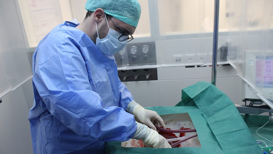 Új remény a májbetegeknek: most először beültettek egy 3 napig testen kívül életben tartott donormájat