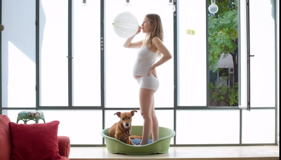 Zseniális videó a babavárás 9 hónapjáról