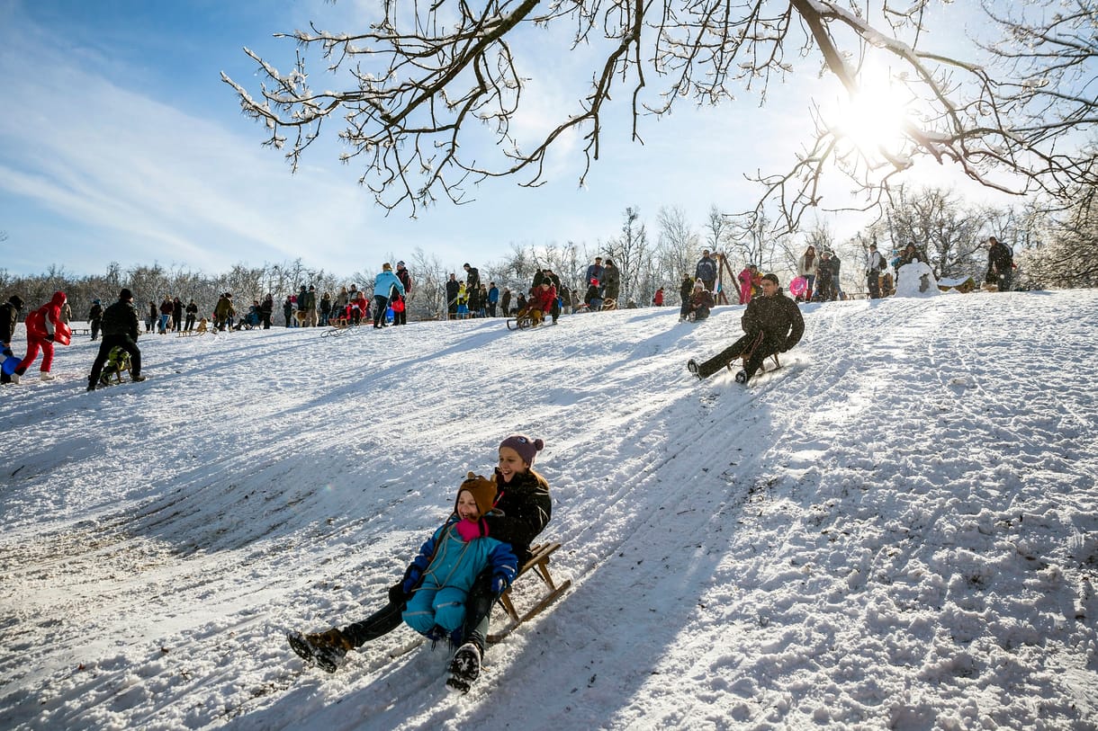 A BKK óva inti az autósokat a Normafától