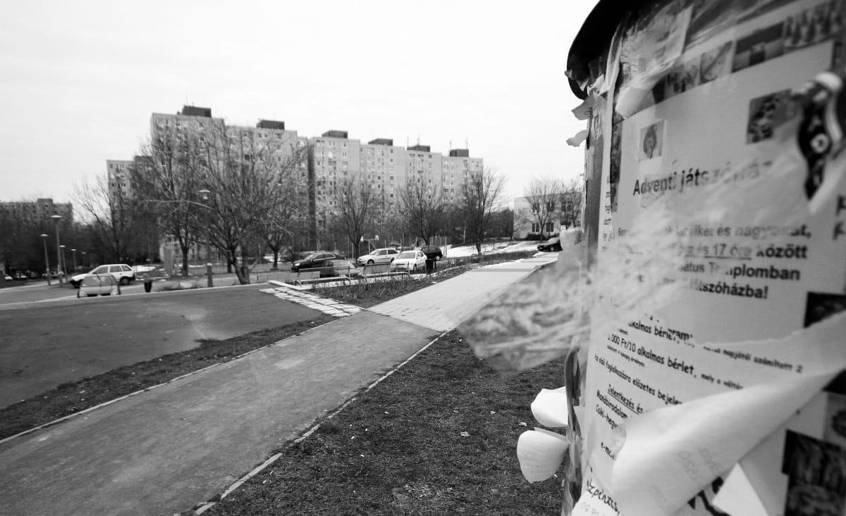 Szomszédok nyomában