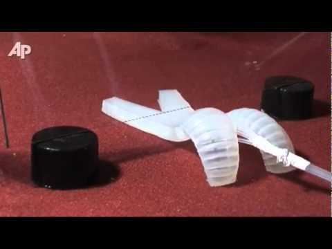 Videó: bámulatosan limbó-hintózik a gumirobot