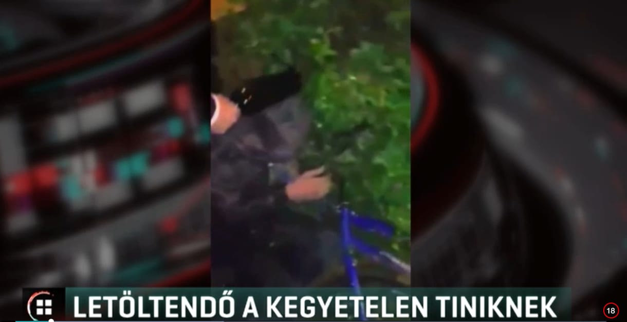 A végletekig megaláztak egy értelmi sérült fiút Dabason - most börtönbe kell menniük