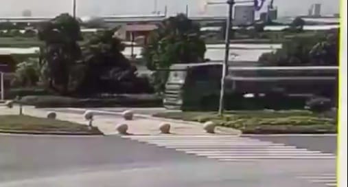 Ezért kell nagyon jól lekötni a kamion rakományát – videó