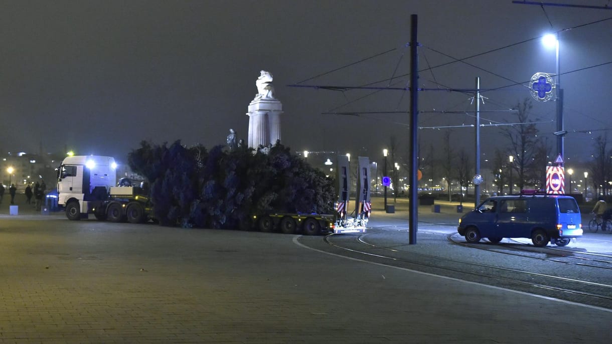 Ezért lett kissé csapzott az ország karácsonyfája