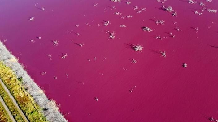 Magenta színű lett két tó Argentínában a környezetszennyezés miatt