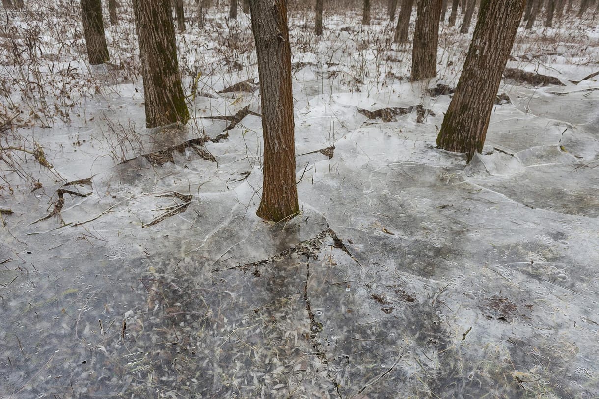 Törékeny emléket hagyott maga mögött az apadó Tisza