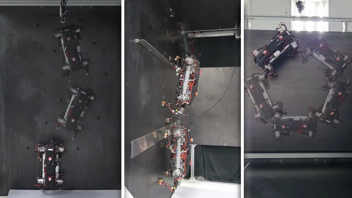 A falra is képes felmászni az új robotkutya – videó