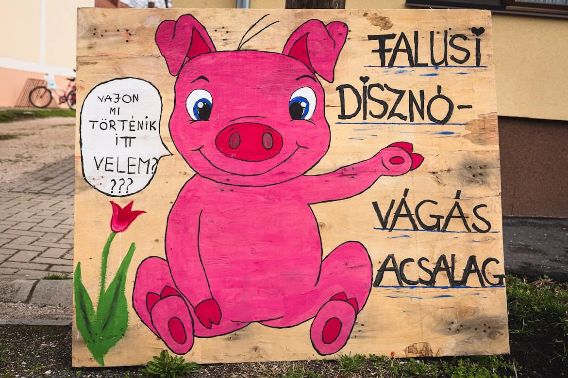 Orbán “Helló röfi” örökzöldjével és a saját halálára váró vidám malaccal viccelődött a kormánybiztos