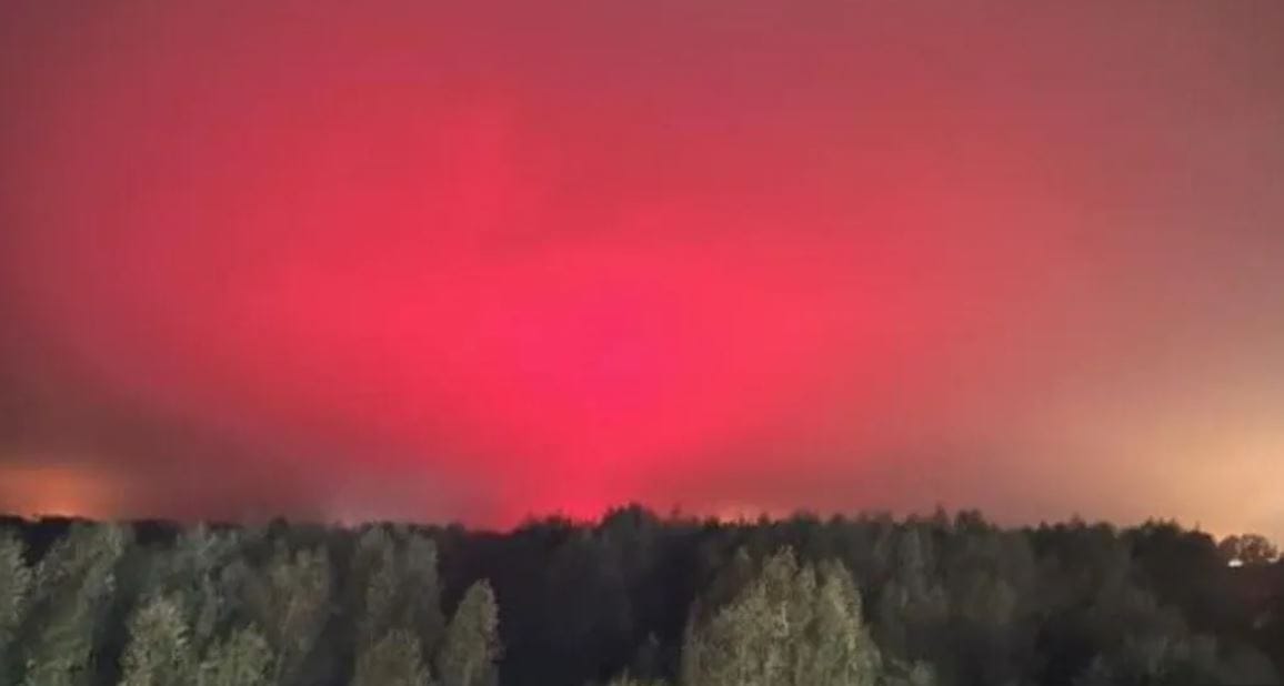 Sarki fénynek nézték a paradicsomültetvény érlelőlámpáit
