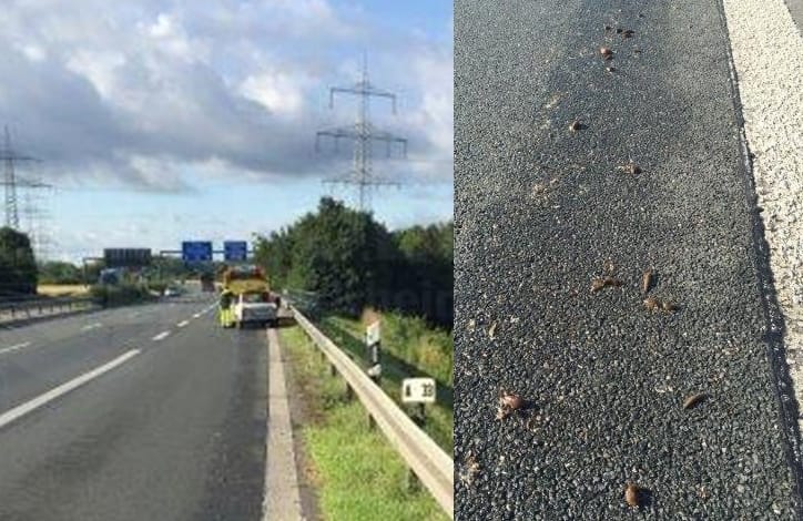 Itt az év legfurcsább balesete: csiganyálon csúszott meg a Trabant