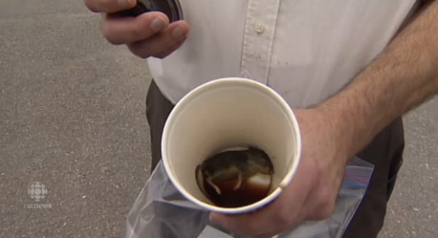 Puffadt egértetem feküdt a McDonald's-kávé alján