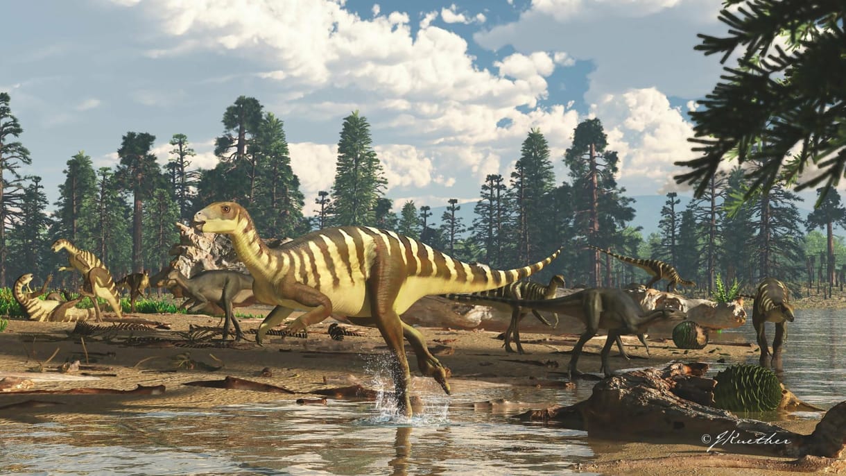 Dinoszaurusztemetőt fedeztek fel Argentínában