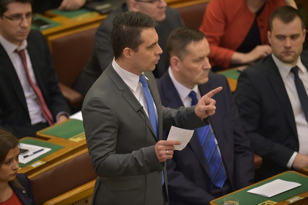 Vona, az áldozati farkas
